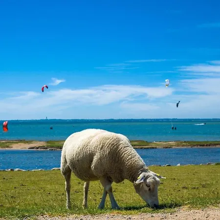 Ostseeperle